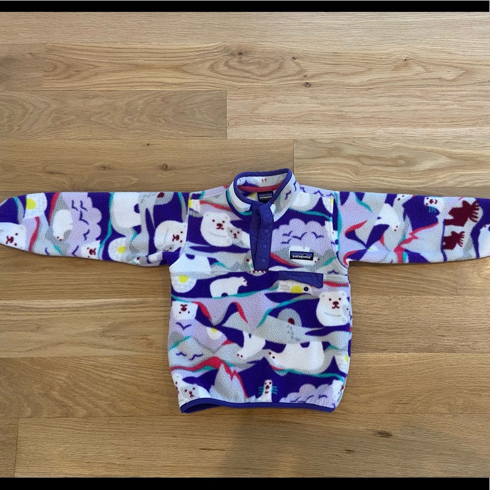 Patagonia retro pullover 4T